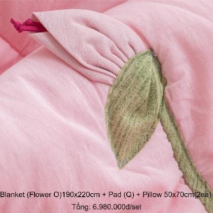 Bo chan ga cotton Han Quoc TIARA (5) Bộ chăn ga cotton Hàn Quốc Tiara