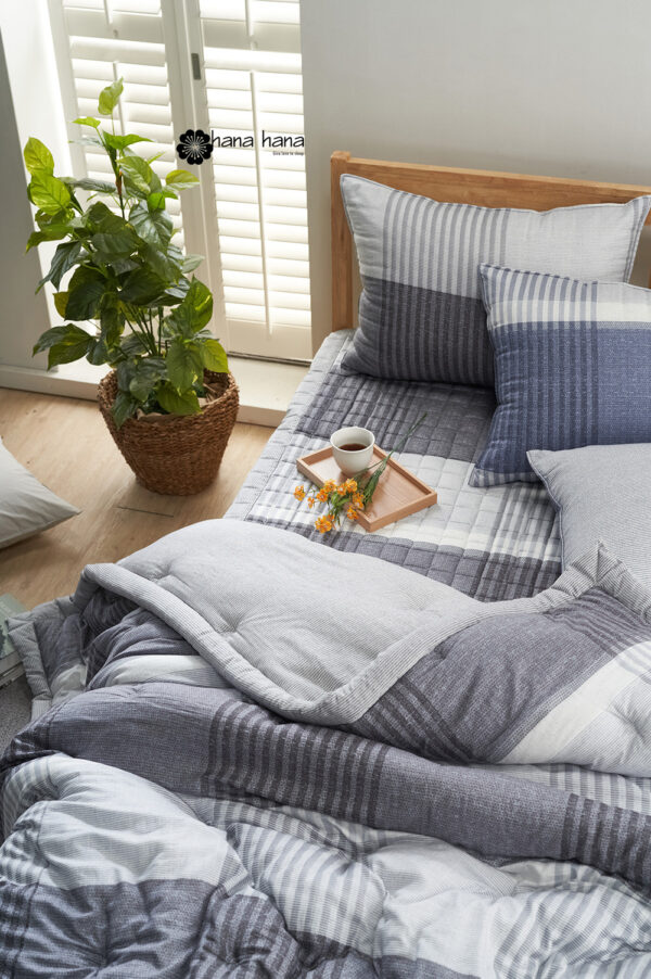 Chan dong cao cap Han Quoc Danver (18) Set chăn đông gỗ sồi Hàn Quốc Danver