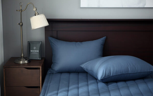 Vo goi cotton khong chan (22) Vỏ gối cotton không chần Hana Hana